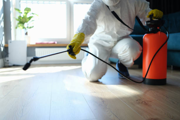 Reliable Infectious Disease Decontamination contractor in Big Sur, CA by Trauma Clean Pros